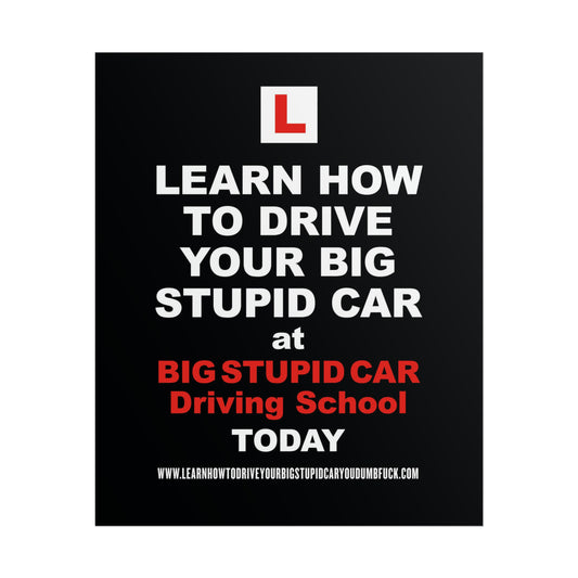 Big Stupid Car Driving School