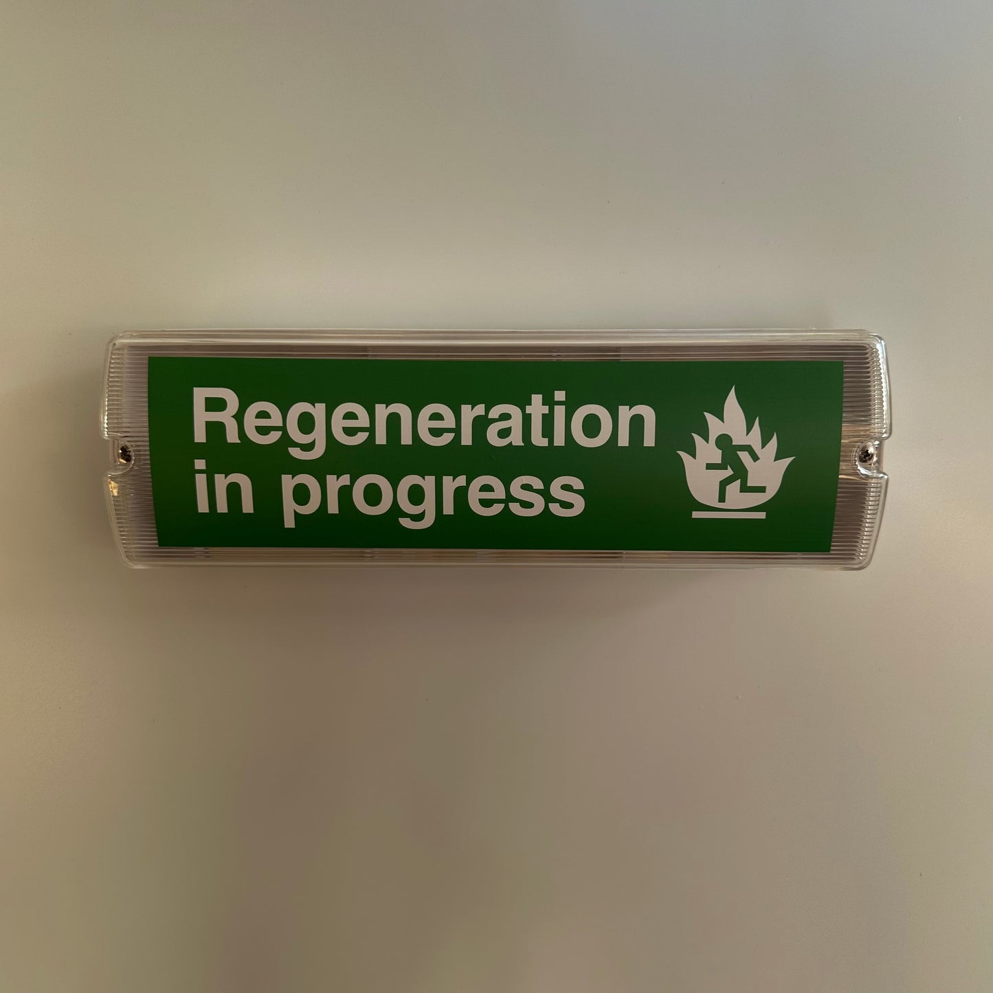 Regeneration In Progress