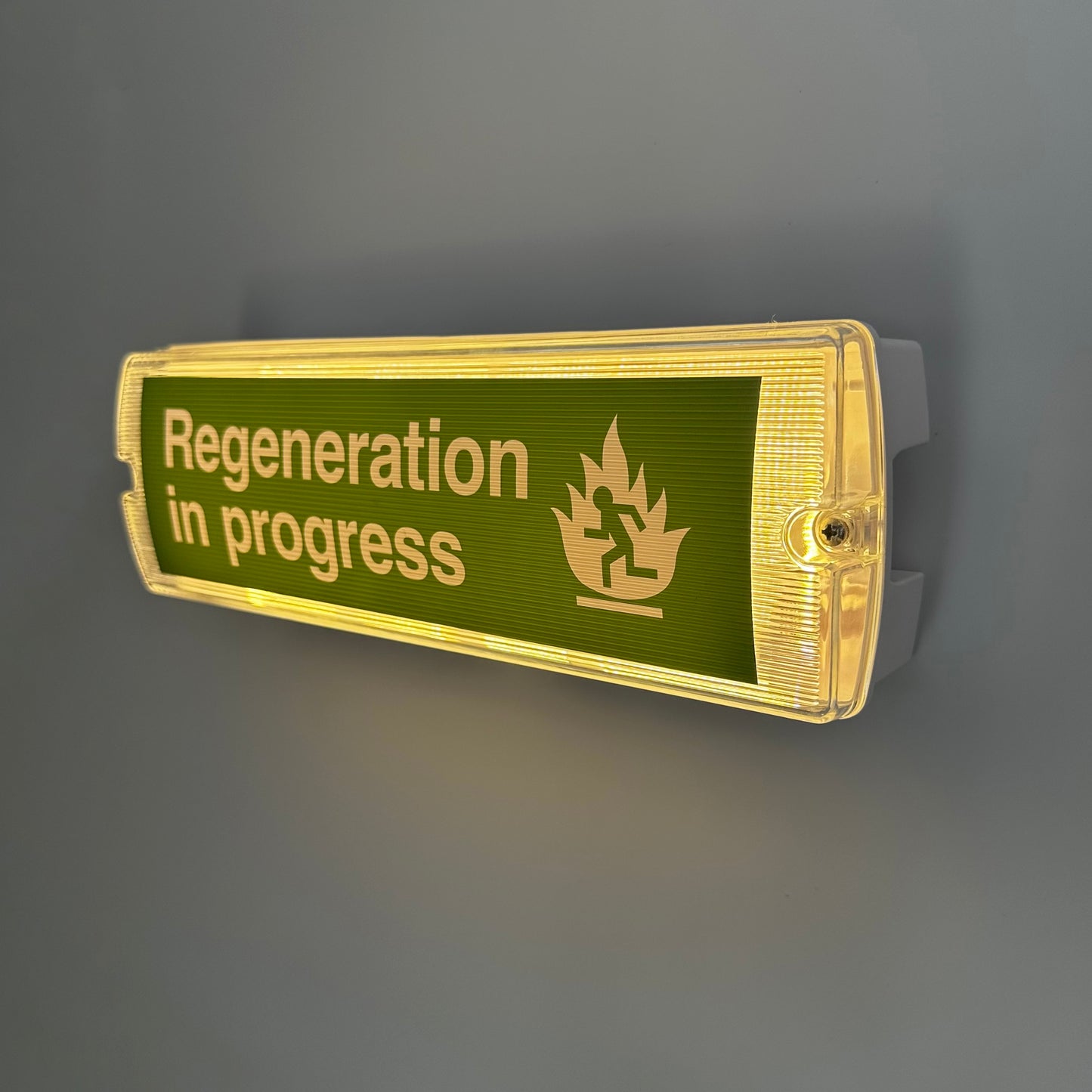 Regeneration In Progress