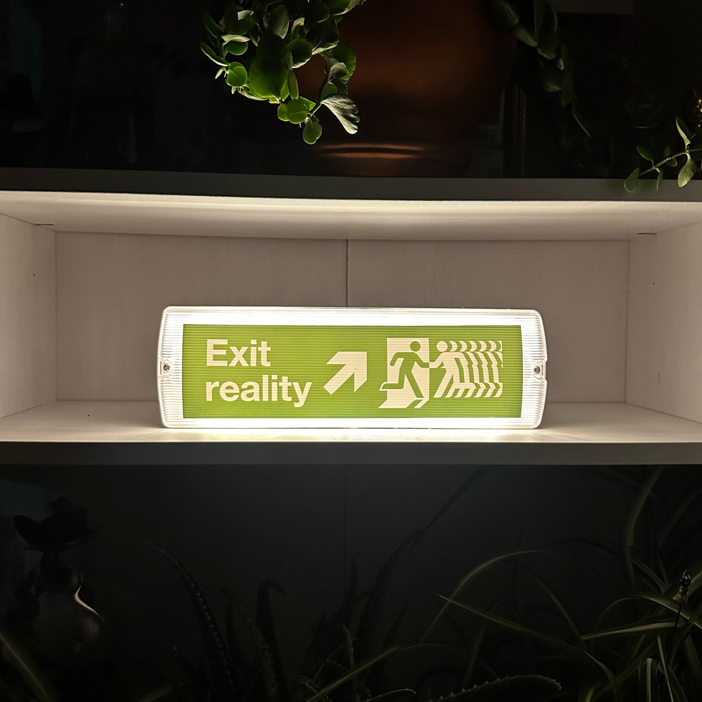Exit Reality