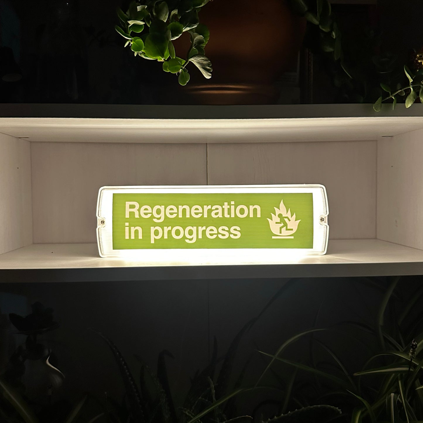 Regeneration In Progress