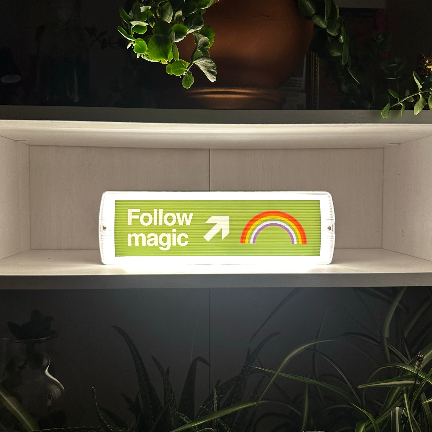 Follow Magic